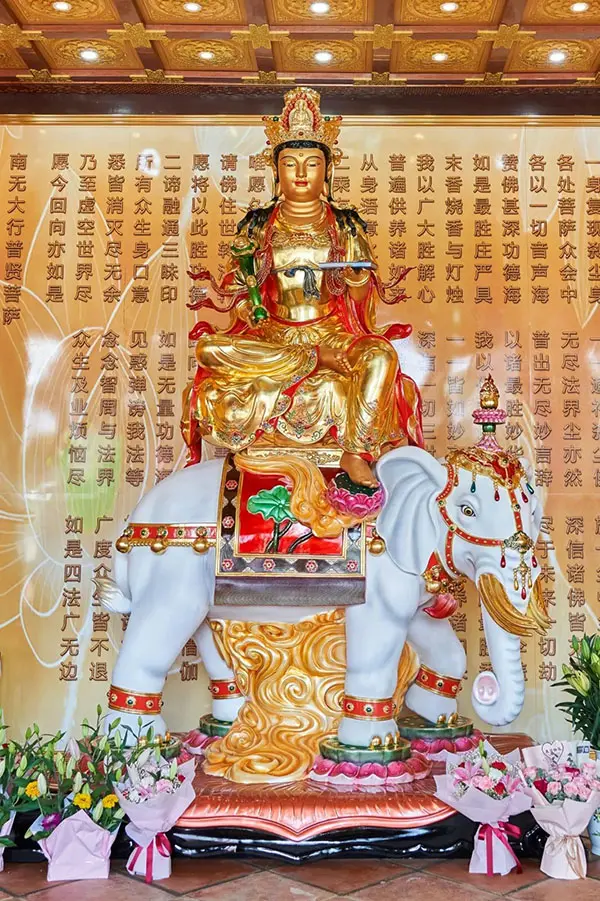 微信图片_20230214102013.jpg.webp 微信图片_20230214102013.jpg.webp