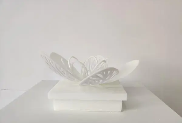 Butterfly Prototype